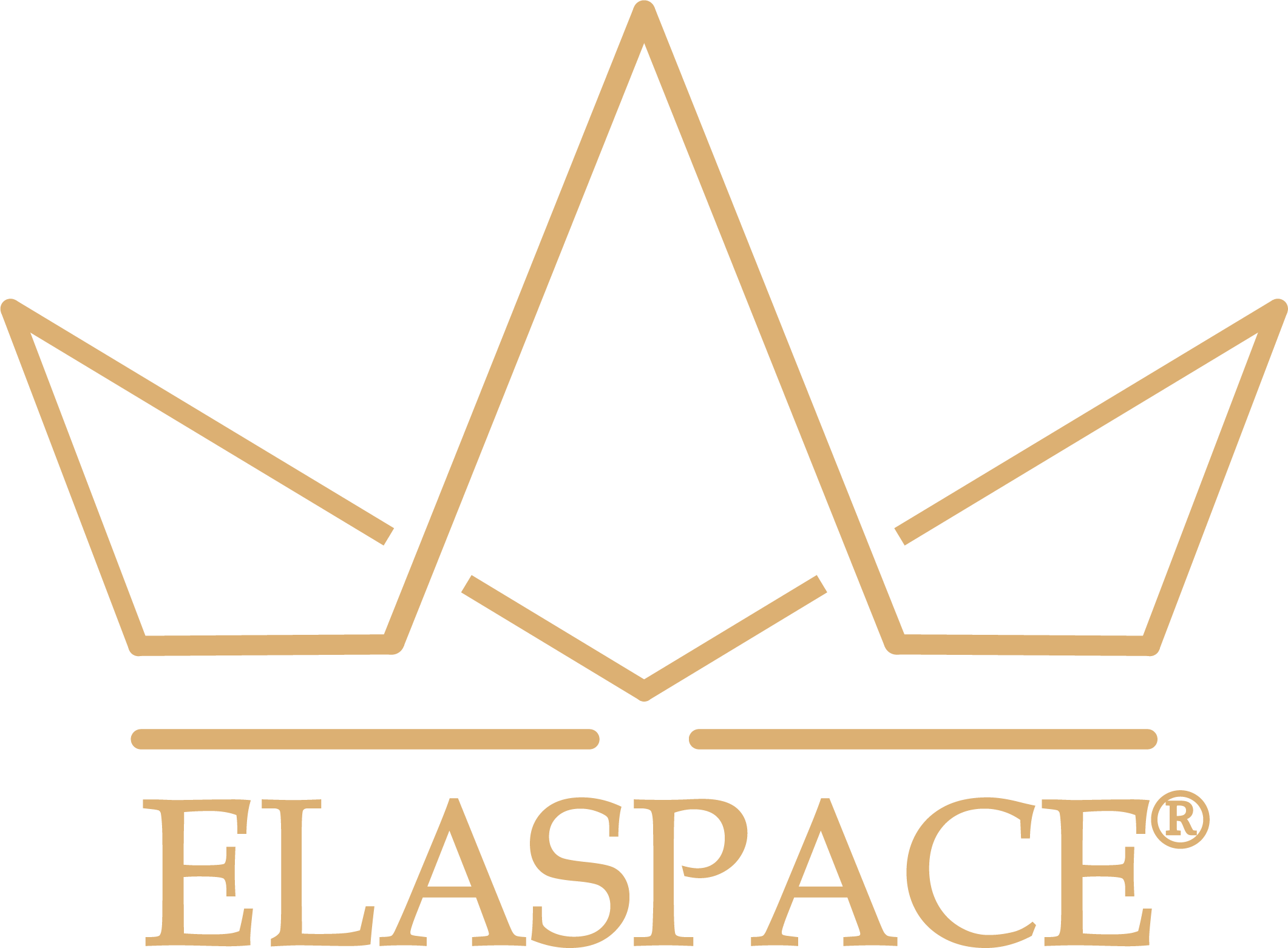 Elaspace Shop
